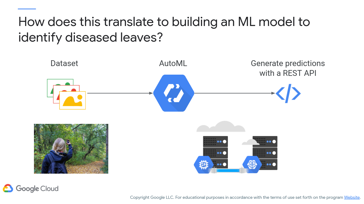 ML Example with AutoML